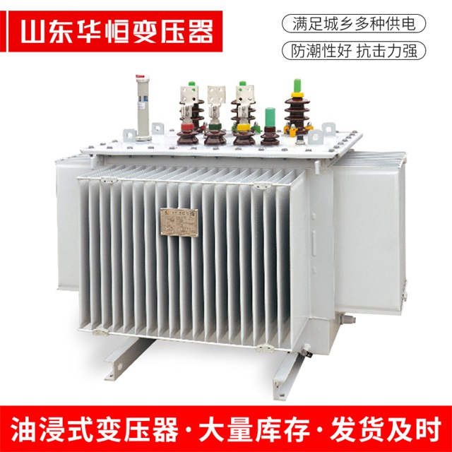 S13-10000/35东港东港东港电力变压器